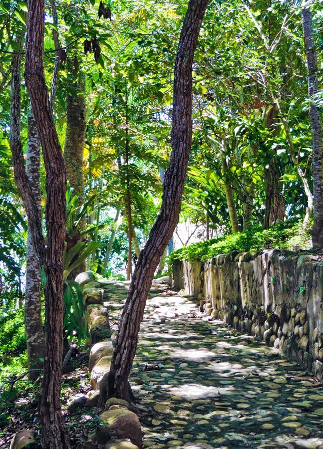 Yacumaman Sanctuary Villa Tarapoto Bagian luar foto
