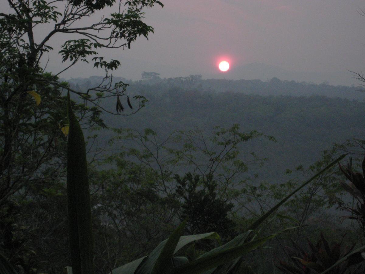 Yacumaman Sanctuary Villa Tarapoto Bagian luar foto