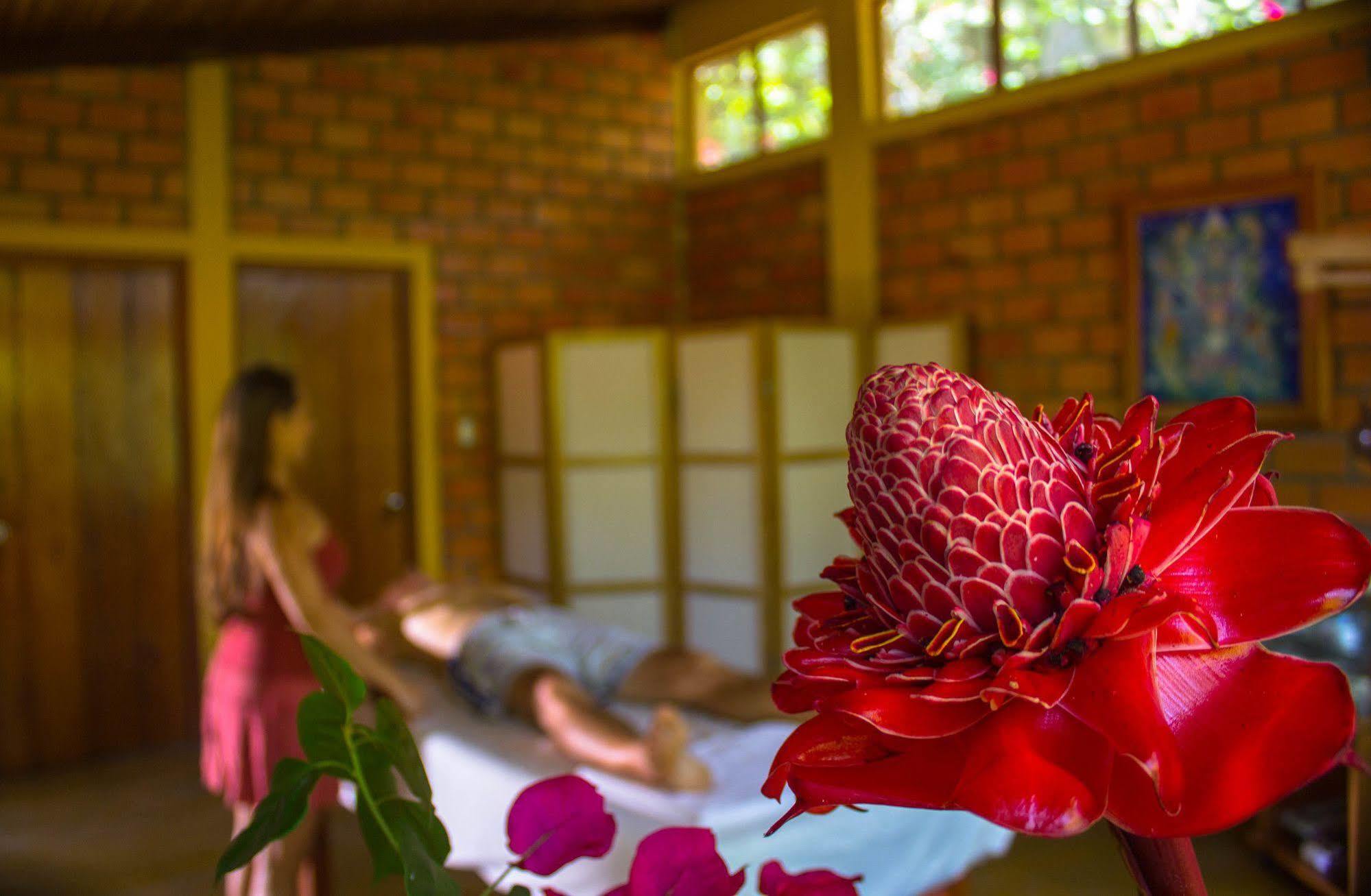 Yacumaman Sanctuary Villa Tarapoto Bagian luar foto