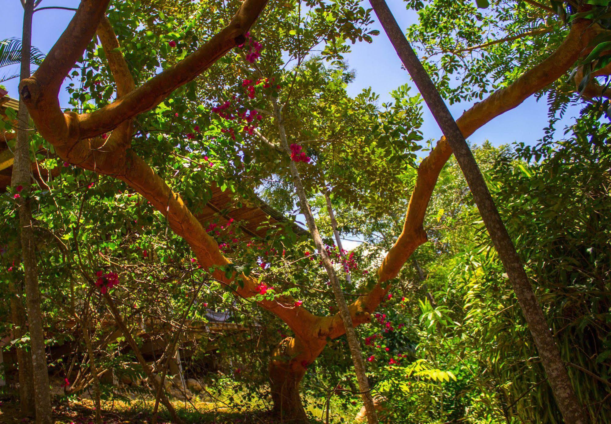 Yacumaman Sanctuary Villa Tarapoto Bagian luar foto