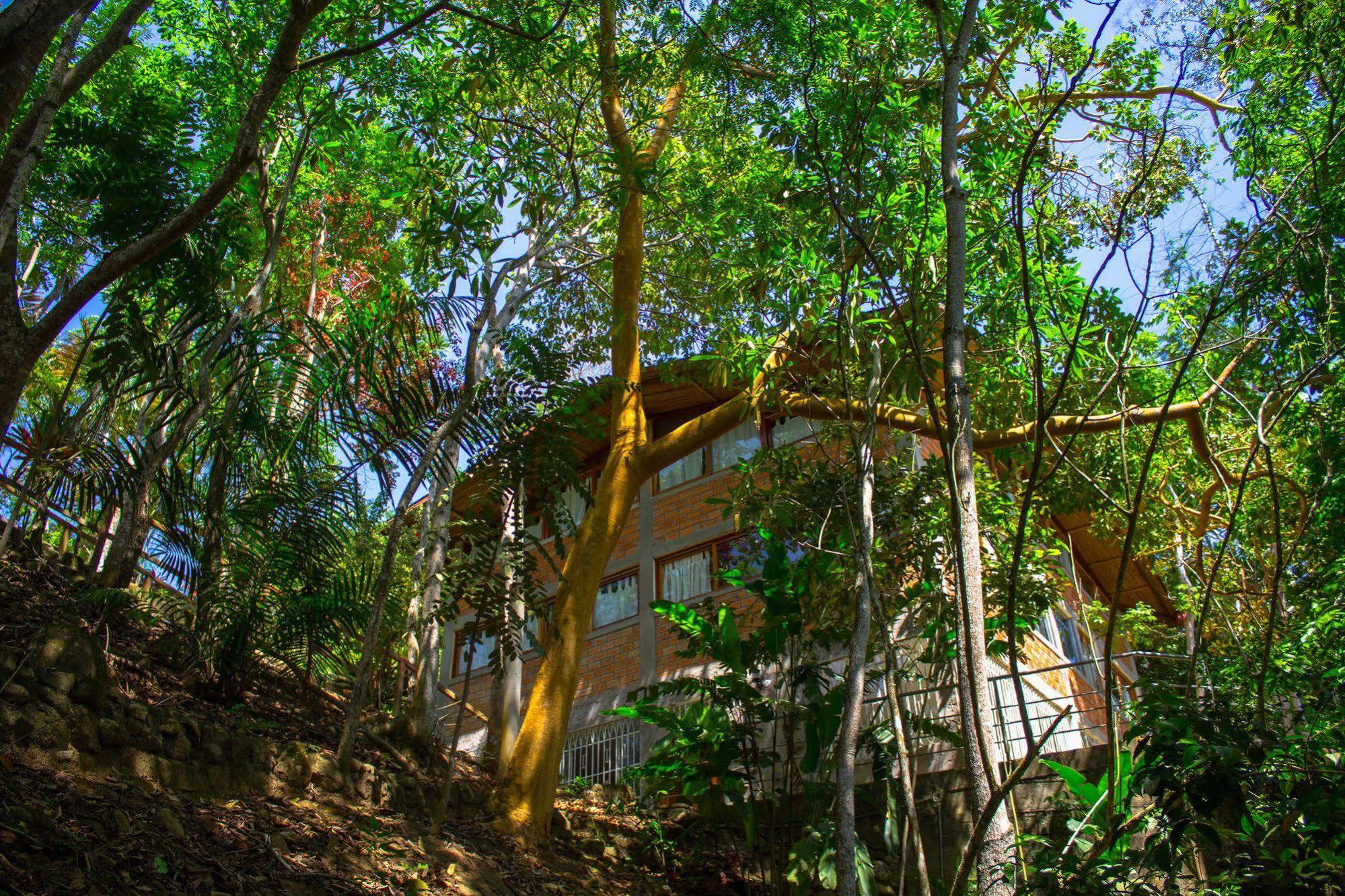 Yacumaman Sanctuary Villa Tarapoto Bagian luar foto
